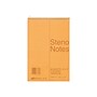 National Brand Steno Pad, 6" x 9", Gregg, Brown Cover, 80 Sheets/Pad (36746)~#|#~sp36298700_sc7