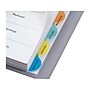 Wilson Jones View-Tab Blank Polypropylene/PP Dividers, 8-Tab, Multicolor (W55063)~#|#~sp36617531_sc7