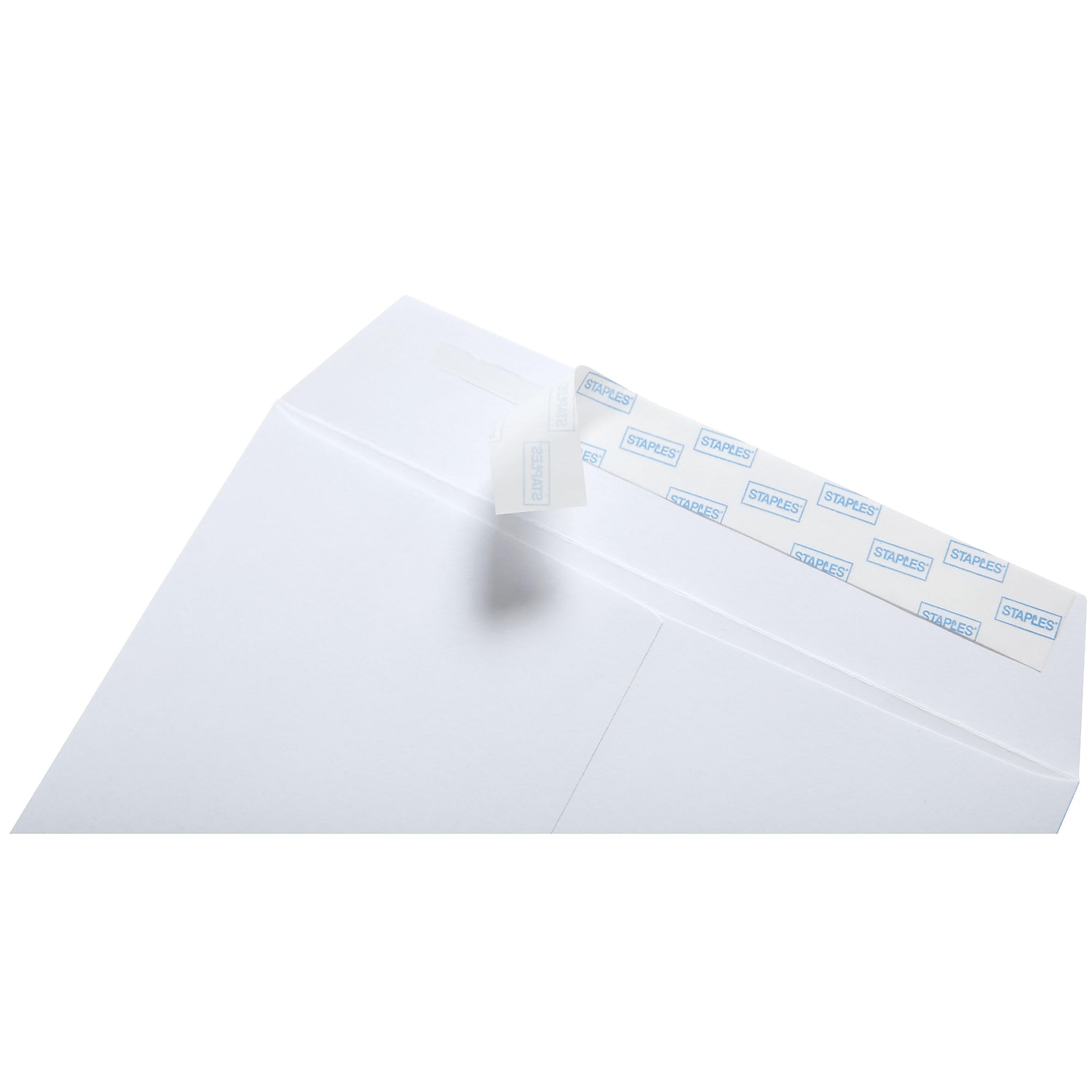 Staples EasyClose Catalog Envelopes 6' x 9