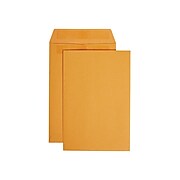 6 x 9 Envelopes for Mailing | Staples