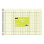 Staples 13 Columns Columnar Book, 16.31"W x 11"H, Green (ST18868)~#|#~sp37727396_sc7