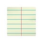 Ampad Steno Pad, 6" x 9", Gregg Ruled, Green, 60 Sheets/Pad (TOP 25-270)~#|#~sp38165521_sc7