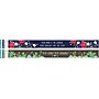Barker Creek Double-Sided Border Set, 35" x 3", Petals & Prickles, 2 designs, 24/Set (BC3869)~#|#~sp39320489_sc7