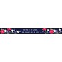 Barker Creek Double-Sided Border, 35" x 3", Petals, 12/Pack (BC933)~#|#~sp39320607_sc7