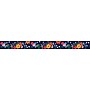 Barker Creek Double-Sided Border, 35" x 3", Petals, 12/Pack (BC933)~#|#~sp39320608_sc7