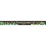 Barker Creek Double-Sided Border, 35" x 3", Prickles, 12/Pack (BC934)~#|#~sp39320611_sc7