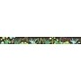 Barker Creek Double-Sided Border, 35" x 3", Prickles, 12/Pack (BC934)~#|#~sp39320612_sc7