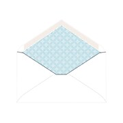 Staples Gummed Security Tinted #6 3/4 Business Envelopes, 3 5/8" x 6 1/2", White, 250/Box (19254)