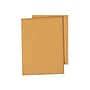 Quality Park Self Seal Kraft Catalog Envelopes, 10" x 15", Brown, 250/Carton (QUA43862)~#|#~sp39612775_sc7