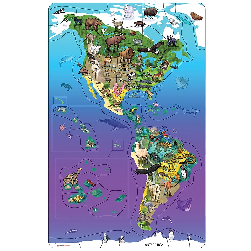 Dowling Magnets Animal Magnetism® Magnetic Wildlife Map Puzzle: North & South America, Grades PreK-4 (DO-734100) image 1