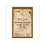 TOPS Second Nature Steno Pad, 6" x 9", Gregg Ruled, White, 80 Sheets/Pad (TOP 74688)~#|#~sp40303985_sc7