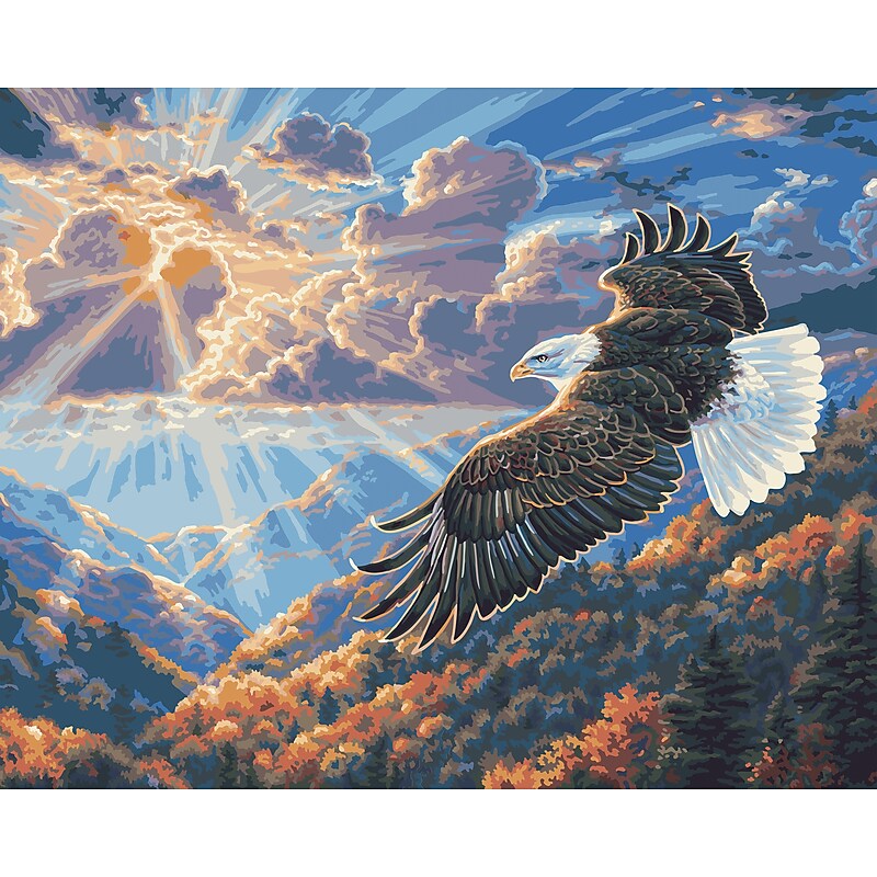 Plaid Craft Eagle Freedom Paint By Number Kit, 16" x 20" (216-17082) image 1