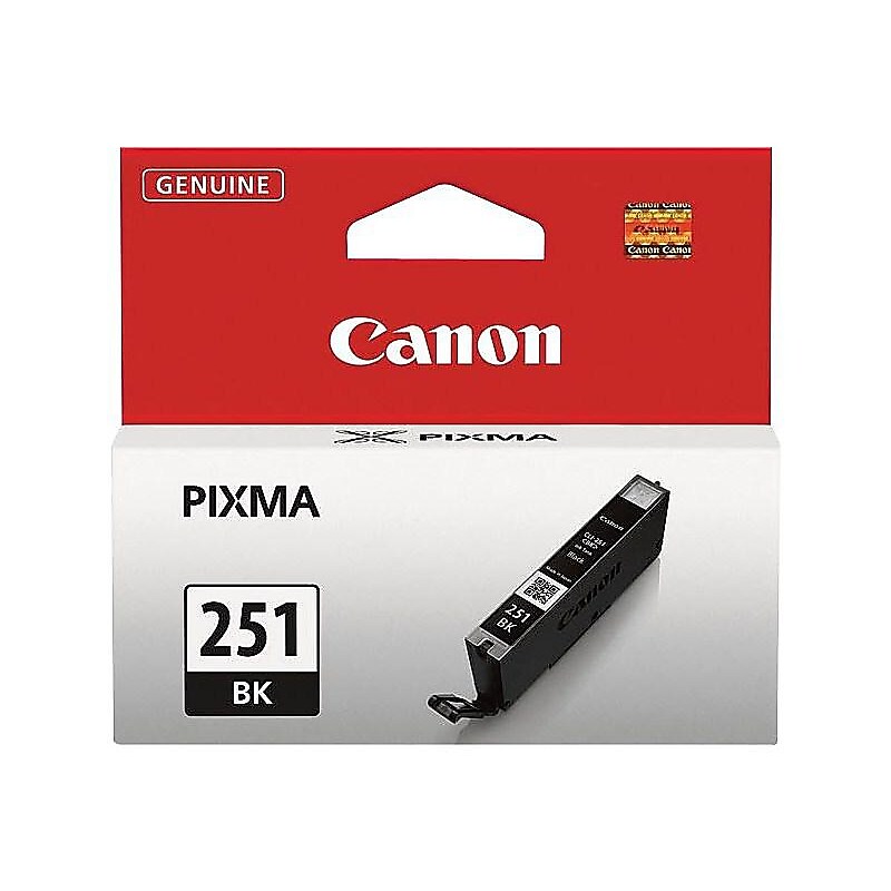 Canon 251 Black Standard Yield Ink Cartridge  (6513B001) image 1