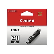 Canon CLI-251 Black Standard Yield Ink Cartridge (6513B001)
