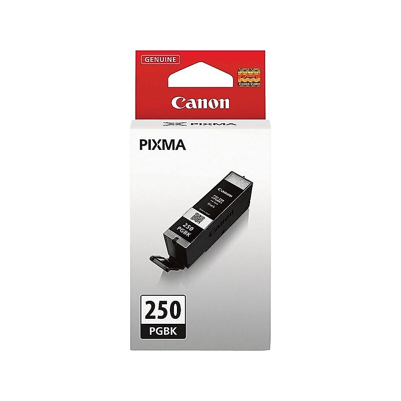 Canon 250 Black Standard Yield Ink Cartridge (6497B001) image 1