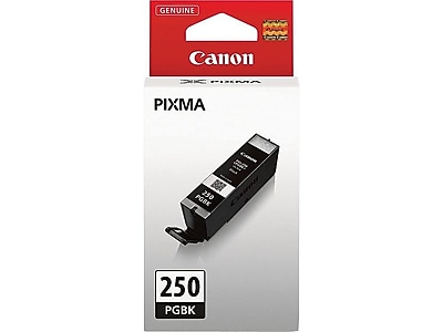 Canon 250 Black Standard Yield Ink Cartridge (6497B001) Sansujyuku sansujyuku.com