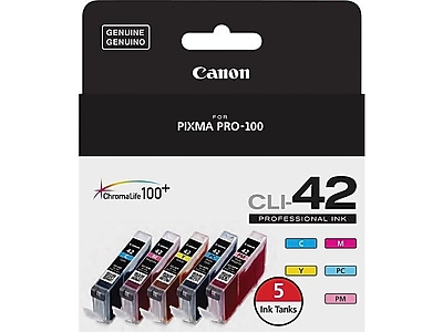 Canon 42 Cyan/Magenta/Yellow/Photo Cyan/Photo Magenta Ink Cartridge, 5/Pack (6385B010) Sansujyuku sansujyuku.com