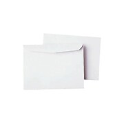 Staples Gummed Booklet Envelopes, 6" x 9", White, 250/Box (472852/19306)