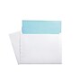 Staples Gummed Booklet Envelopes, 9" x 12", White, 100/Box (473009/19307)~#|#~sp40799026_sc7