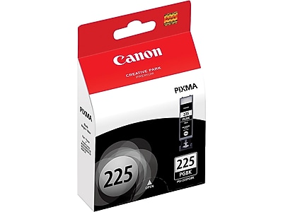 Canon 225 Black Standard Yield Ink Cartridge  (4530B001) Sansujyuku sansujyuku.com