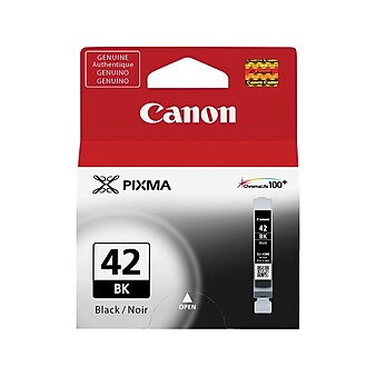 Canon 42 Black Standard Yield Ink Cartridge (6384B002)