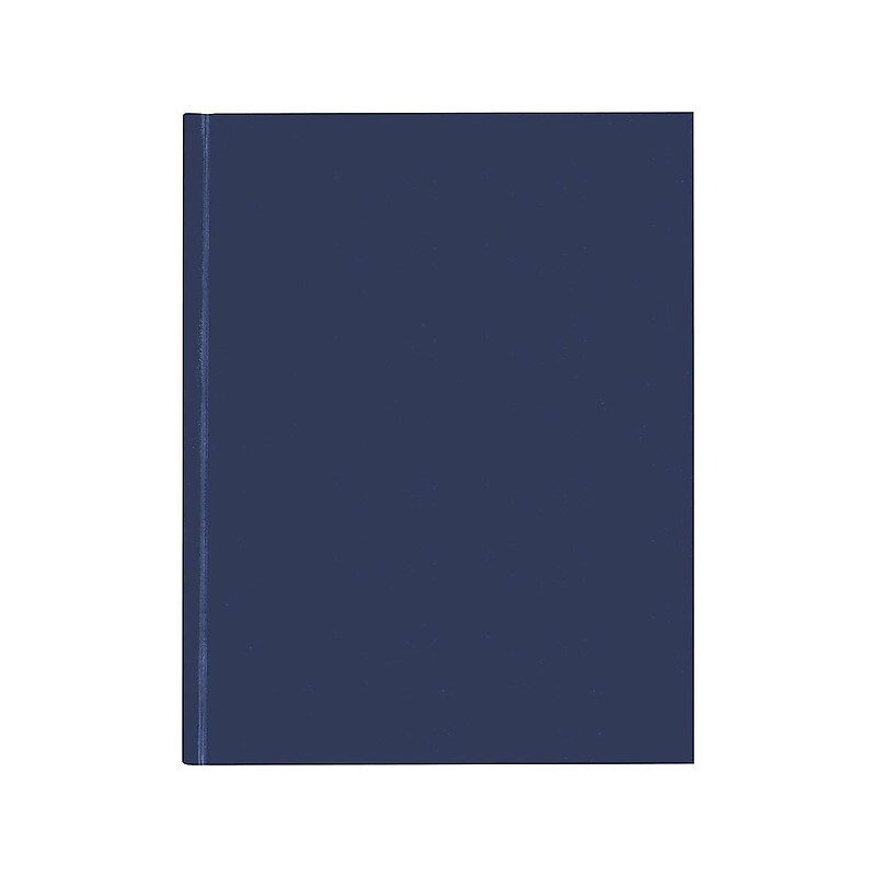 Blueline Professional Notebooks, 7.25" x 9.25", College Ruled, 96 Sheets, Blue (A9.82) image 1