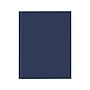 Blueline Professional Notebooks, 7.25" x 9.25", College Ruled, 96 Sheets, Blue (A9.82)~#|#~sp40891853_sc7