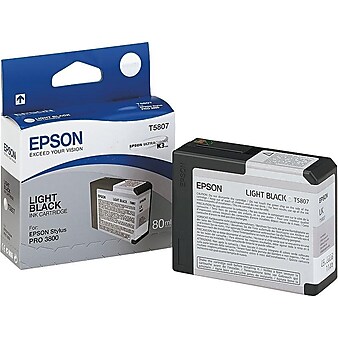 Epson T580 Ultrachrome Light Black Standard Yield Ink Cartridge