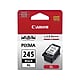 Canon Ink