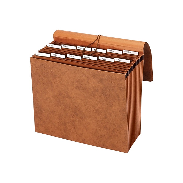 Staples Letha-Tone 13-Pocket Expanding File, Blank Index, Letter