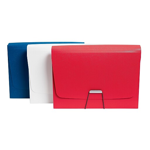 Staples 13 Pocket Expanding File Folder with Document Case, Letter