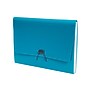 Staples Plastic Expanding File, Letter Size, 13-Pocket, Assorted Colors (51831)~#|#~sp41688215_sc7