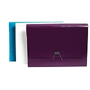 Staples Plastic Expanding File, Letter Size, 7-Pocket, Assorted Colors (51835)