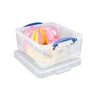 Really Useful Box® 17 Liter Snap Lid Storage Bin, Clear, 4/Pack (17LC-PK4C)