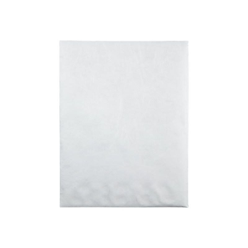 Quality Park Survivor Tyvek Self Seal Document Envelope 10" x 13", White, 100/Box (QUAR2420) image 1
