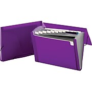Staples Poly Expanding File, Letter Size, 13-Pocket, Violet (68047S)