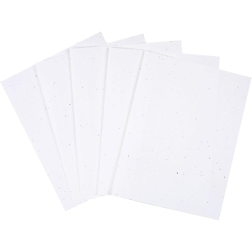 Staples Letter Clear Cover Presentation Book White Each (21618CC