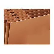 Pendaflex Heavy Duty Expanding File, 1-31 Index, Letter Size, 31-Pocket, Brown (PFX R217DHD)