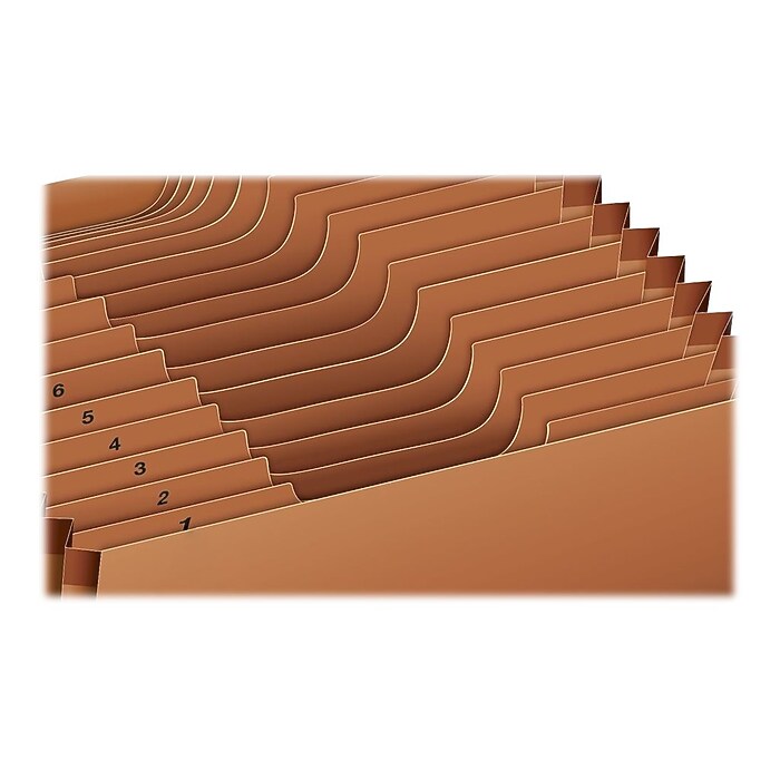 Pendaflex Heavy Duty Expanding File, 1-31 Index, Letter Size, 31