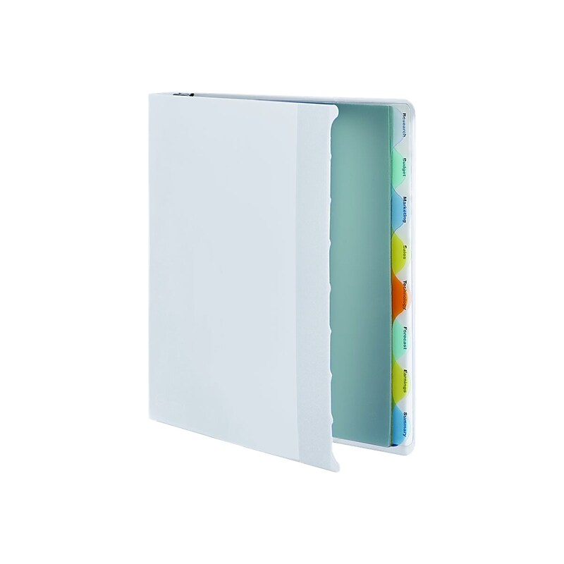 Wilson Jones View-Tab 1" 3-Ring View Binders, White (W55094) image 1