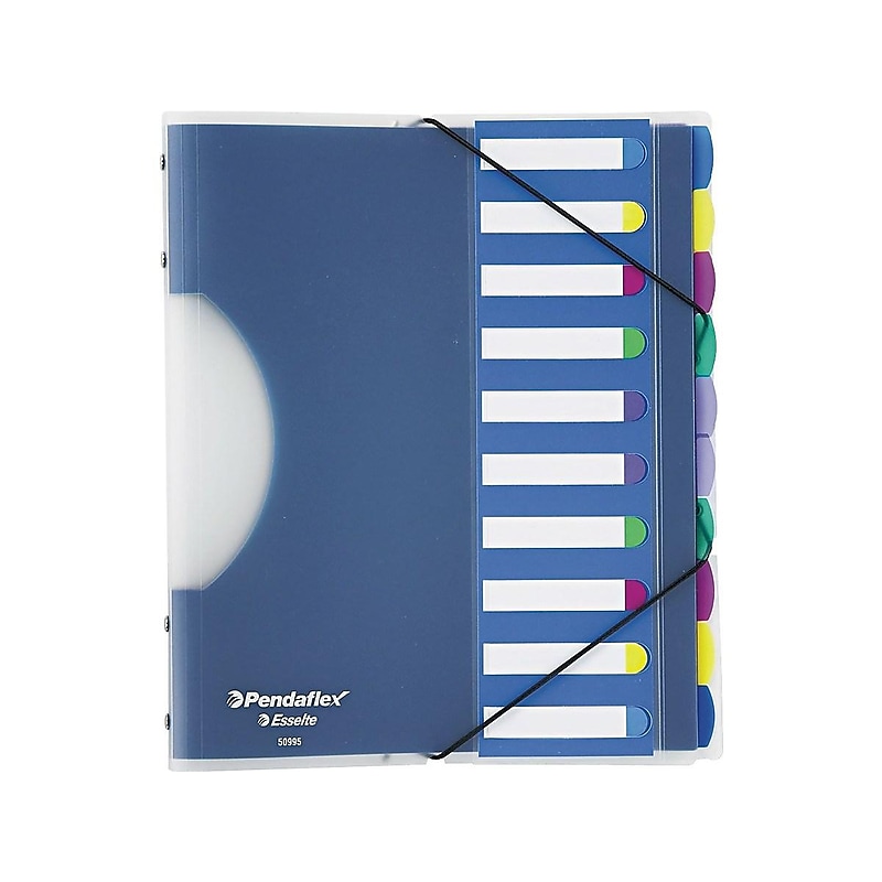 Pendaflex PileSmart Project Sorters, Letter Size, 10-Tab, Multicolor (PFX 50995) image 1