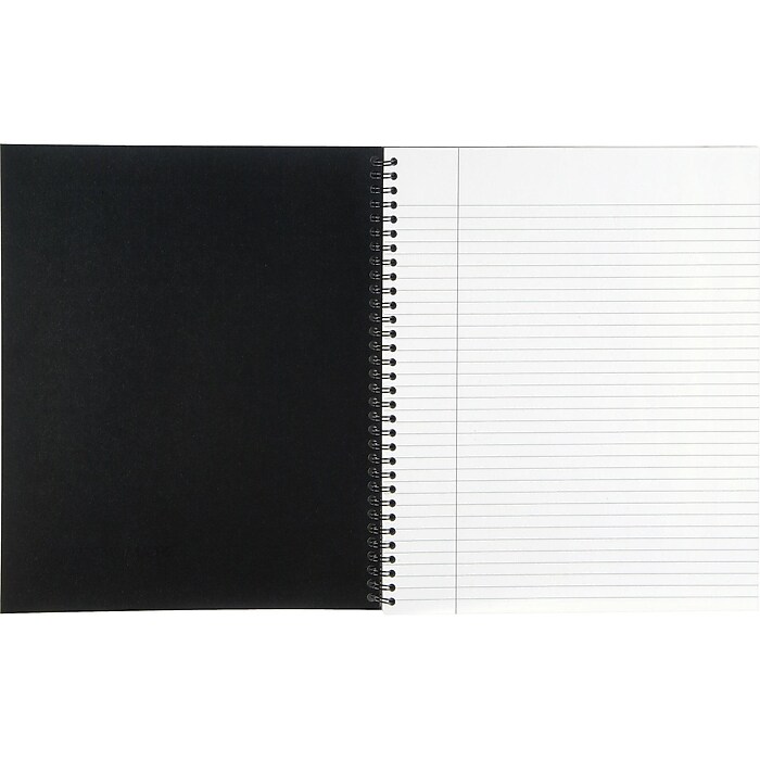 Cambridge Professional 1-Subject Professional Notebook, 8.5