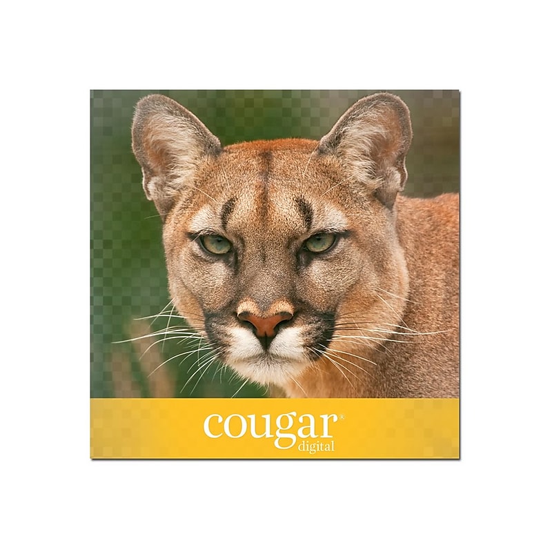 Domtar Cougar Digital 10% Recycled 8.5" x 11" Business Paper, 70 lbs., 98 Brightness, 500 Sheets/Ream, 8 Reams/Carton (2826CASE) image 1