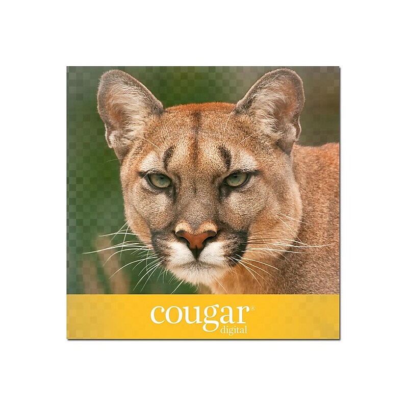 Domtar Cougar Digital 80 lb. Cover Paper, 11" x 17", White, 250 Sheets/Pack (2868) image 1