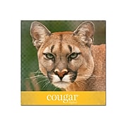 Domtar Cougar Digital 80 lb. Cover Paper, 11" x 17", White, 250 Sheets/Pack (2868)