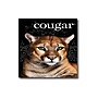 Domtar Cougar Digital 10% Recycled 8.5" x 11" Business Paper, 70 lbs., 98 Brightness, 500 Sheets/Ream, 8 Reams/Carton (2826CASE)~#|#~sp42184549_sc7