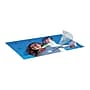 Fellowes Premium ImageLast Thermal Laminating Pouches, Letter Size, 3 Mil, 150/Pack (5200509)~#|#~sp42193416_sc7