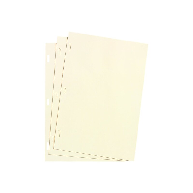 Wilson Jones Ledger Paper, 8.5" x 11", Ivory, 100 Sheets/Box (W901-10) image 1
