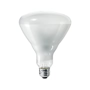 Philips 65 Watts Clear Incandescent Bulb, 12/Carton (140087)