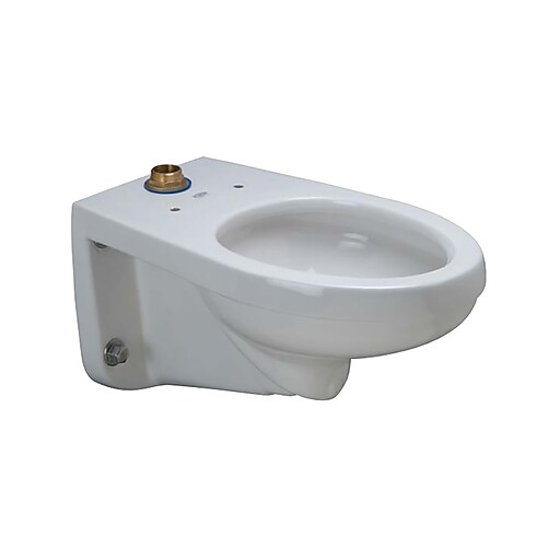 Zurn HET Elongated Wall Hung EcoVantage® Flush Valve Toilet Bowl (Z5615BWL) Staples